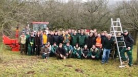 Baumschnitt im Frühjahr